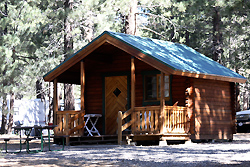 Coleman Rustic Cabin